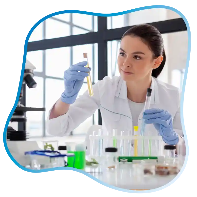 rapid lab test UAE